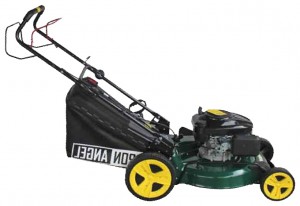 trimmer (self-propelled lawn mower) Iron Angel GM 51 SP Photo review