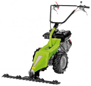 trimmer (hay mower) Grillo GF 1 SH 265 Photo review