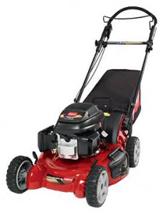 trimmer (self-propelled lawn mower) Toro 20192 Photo review