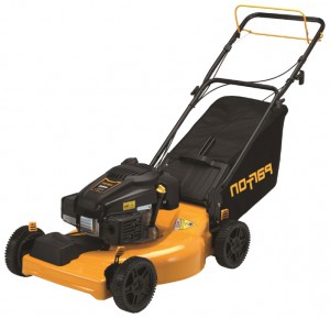trimmer (self-propelled lawn mower) Parton PA625Y22RP Photo review