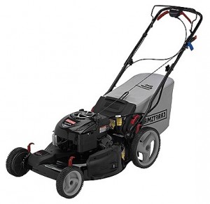 trimmer (self-propelled lawn mower) CRAFTSMAN 37069 Photo review