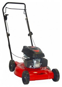 trimmer (lawn mower) MegaGroup 5110 RTS Photo review