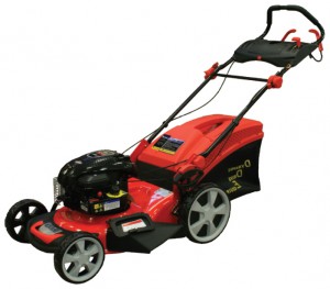 trimmer (self-propelled lawn mower) DDE WYZ18H2-13-WD65 Photo review