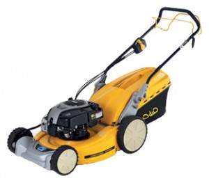 trimmer (self-propelled lawn mower) Cub Cadet CC 53 SPB-V Photo review