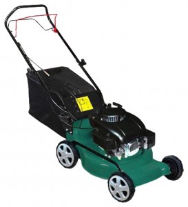 trimmer (self-propelled lawn mower) Warrior WR65142AT Photo review