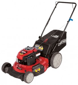 trimmer (lawn mower) CRAFTSMAN 37034 Photo review