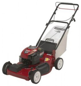trimmer (self-propelled lawn mower) CRAFTSMAN 37607 Photo review