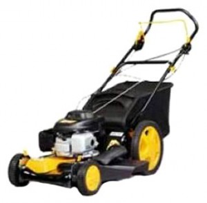 trimmer (self-propelled lawn mower) PARTNER 5553 SD Photo review
