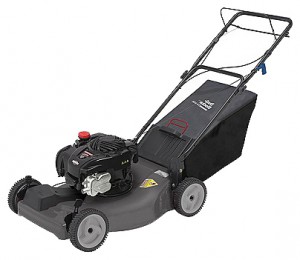 trimmer (self-propelled lawn mower) CRAFTSMAN 37040 Photo review
