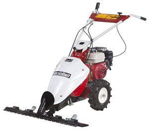 trimmer (self-propelled lawn mower) Tielbuerger T60 Honda GC160 Photo review