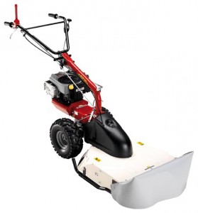 trimmer (self-propelled lawn mower) Eurosystems P70 XT-7 Lawn Mower Photo review