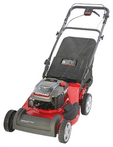 trimmer (self-propelled lawn mower) SNAPPER ESPV21675 SE Line Photo review