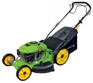 trimmer (lawn mower) Fieldmann FZR 3003-B Photo review