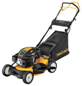 trimmer (self-propelled lawn mower) Cub Cadet CC 550 ES Photo review