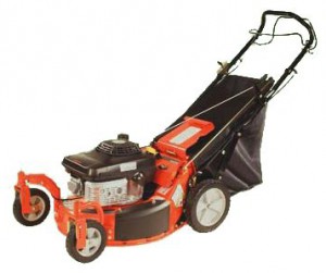 trimmer (self-propelled lawn mower) Ariens 911396 Classic LM 21SCH Photo review