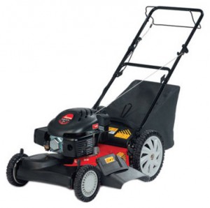 trimmer (lawn mower) MTD SP 53 GHWO Photo review