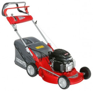 trimmer (self-propelled lawn mower) EFCO LR 48 TH Photo review