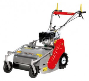 trimmer (self-propelled lawn mower) Oleo-Mac WB 55 H 6.5 Photo review