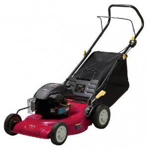 trimmer (lawn mower) Elitech K 3000B Photo review