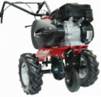 meilleur Pubert Q JUNIOR V2 65В TWK+ tracteur à chenilles facile essence examen