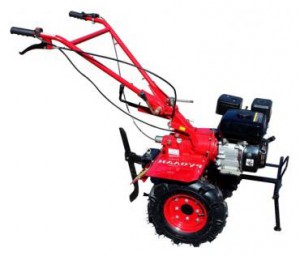 ﻿kultivator (walk-hjulet traktor) AgroMotor РУСЛАН GX-200 Foto anmeldelse