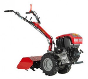 ﻿kultivator (walk-bak traktoren) Meccanica Benassi MF 223 (GP160) Bilde anmeldelse