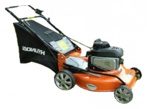 trimmer (self-propelled lawn mower) Hyundai HY/GLM4811S Photo review