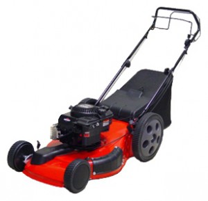 trimmer (self-propelled lawn mower) MegaGroup 5200 XST Photo review