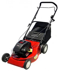 trimmer (self-propelled lawn mower) SunGarden RDS 464 Photo review