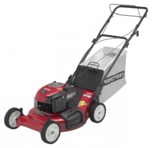 trimmer (self-propelled lawn mower) CRAFTSMAN 37705 Photo review