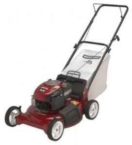 trimmer (lawn mower) CRAFTSMAN 38895 Photo review