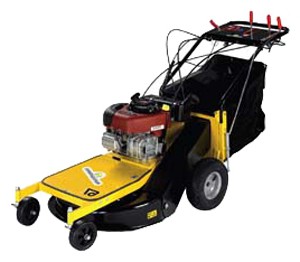 trimmer (self-propelled lawn mower) Eurosystems Professionale 67 Electric starter Photo review