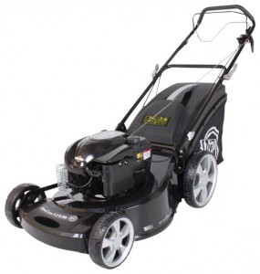 trimmer (lawn mower) Texas WLA 53 TR/W Photo review