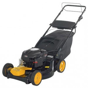 trimmer (self-propelled lawn mower) PARTNER 5051 CMDE Photo review