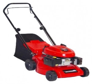 trimmer (self-propelled lawn mower) MegaGroup 47500 NRT Photo review
