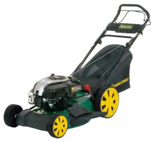 trimmer (lawn mower) Yard-Man YM 5521 SPB HW Photo review