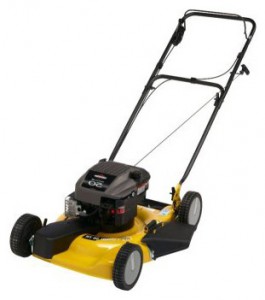 trimmer (self-propelled lawn mower) Texas Garden 56TR Combi Photo review