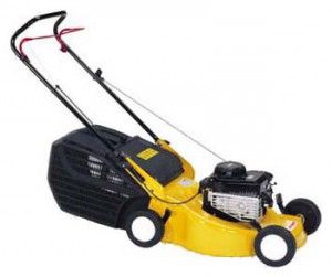 trimmer (self-propelled lawn mower) Dynamac DS 48 TB Photo review