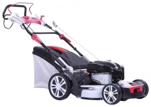 trimmer (self-propelled lawn mower) DDE WLZ21H-A-4 Photo review